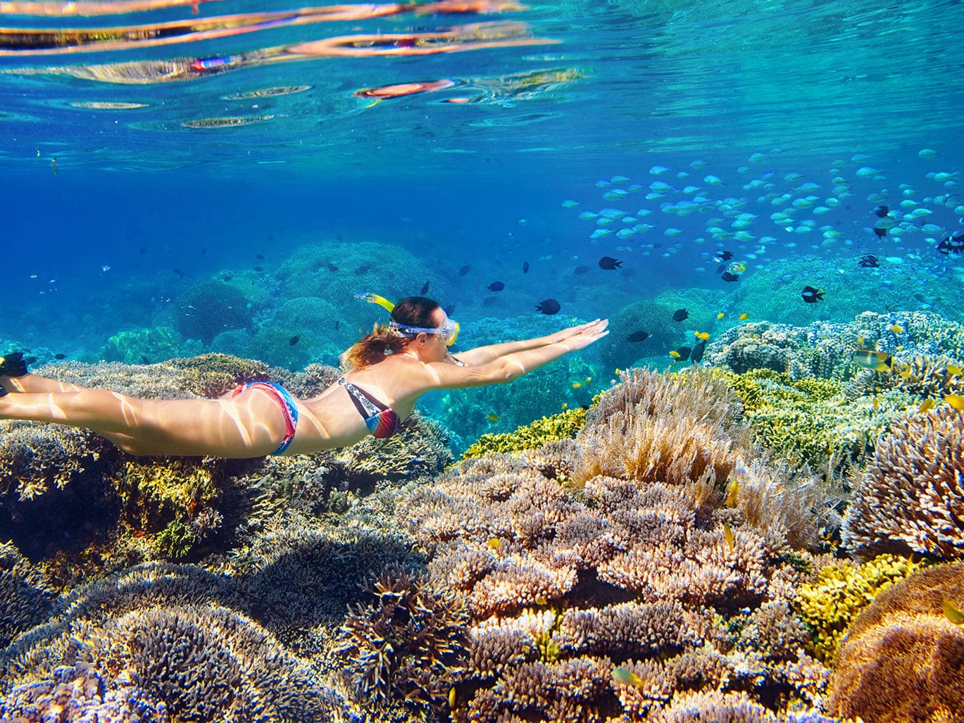 Discover Nha Trang Diving Tour